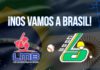 Las Metro U12 y U14 vuelan a los nacionales de Brasil